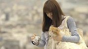 相机-索尼日本NEX-C3北川景子广告