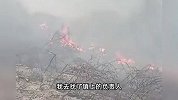 老人上坟烧死67只羊没钱赔，镇政府：准备补偿村民8万，他嫌少