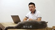 旭子头条 三缸发动机为什么不好？