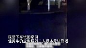 男子走路突被黄牛顶翻，主人套牛也险被拱伤，隔天警民合力拔河搞定