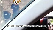 偷杏女子及其同伙被抓获，向老人道歉：干的太不是人事，警方-系团伙作案