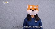 “0利息”个人小额贷款信用卡分期还款背后的甜蜜陷阱