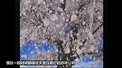《莎木》是否害死了世嘉？——回看传奇莎木