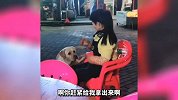 这猫咪长也太凶了吧 我怕它打我