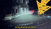 不牵绳的狗撞上小车，狗主人一家不承认还谩骂：你的车有多金贵？