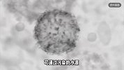 传染性极强！韩国超千人呕吐、发烧，当地官员：尽最大努力防止扩散