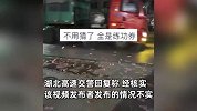 京港澳高速上有人撒钱，路上散落“大量现金”？高速交警：不是人为抛撒