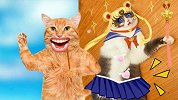 如何把猫咪变成美少女战士