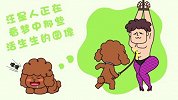 汪星人竟然也会做春梦？