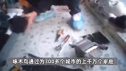 起底啄木鸟创始人发家史：早年拖地洗碗工资几百元，因羡慕2万月收入投身家电维修