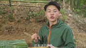 又想骗我吃肉？鲜香麻辣的牛肉干原来这么好吃！