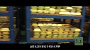 保飞机还是保飞行员？结果与你想的不一样