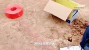 一个鼓风机轻松穿线！