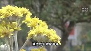 90后博士考公入职一个月被抓！将涉密文件上传境外网站
