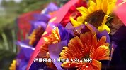 子女葬母误埋入别人父亲坟 法院：迁出骨灰盒并赔偿