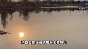 一男子在湖中潜水时不幸溺亡，官方确认：脚上绑有哑铃
