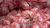 为成为榜一大哥男子夜间偷大蒜：白天打赏，夜里盗窃
