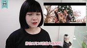 科技小电报：机器人抢走工作，科技厂裁员一万人