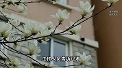 “不买车位不让停车”？业主称与开发商起纠纷后车被砸，警方回应