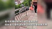 市民扫墓撞见村民偷贡果，放下不到2小时就被拿走：她拿4个袋子