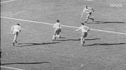 数字世界杯：加林查独舞 巴西卫冕1962年世界杯