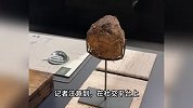 上海一餐厅用大象粪便做甜品？员工：需提前预约，3888元一位