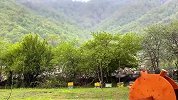 顶叔美食，铁板烤战斧牛排。你绝想不到大叔一顿可以造一根大牛排