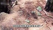 9岁男孩失踪13年后尸骨现身山林地缝，两名村妇被警方带走