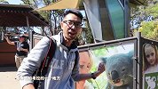 1秒钟变小朋友|悉尼Taronga动物园萌物攻略