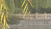 注意防寒，北京22至23日受强冷空气影响，气温骤降！