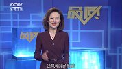 《品质》第381期一逆风飞扬