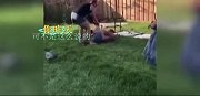 超级爆笑大全 让你笑足三分钟