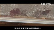 （pp拍客）直击上海地铁六号线一女子落轨身亡现场