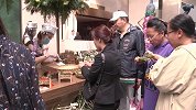 一站式美好生活尽在七彩云南美好全球生活发布会