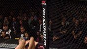 UFC-17年-UFC213前瞻：舍甫琴科精彩对战集锦-专题
