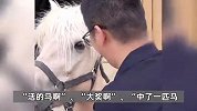 男子内蒙古旅游抽中价值2万的蒙古马，景区：会送马到家，还可以折现