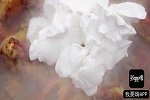 这个季节的美味，就应该是这样的！
