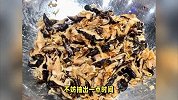 炒米粉是一道深受喜爱的家常菜，不仅色香味俱佳，而且制作简单