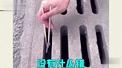运气不好就别瞎作妖，你们还真是天生的倒霉蛋