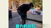 运气不好就别瞎作妖，你们还真是天生的倒霉蛋