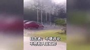 大妈拿水管跟随绿化车跑着洒水，“现在还有这样的作业方式？”，网友直呼心疼