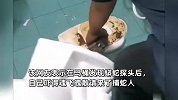女子上厕所发现有蛇探头，当场吓跑求助，拆掉马桶竟拔出5米巨蟒