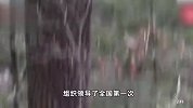 四川省林草局与西华师范大学共建全国首个大熊猫学院