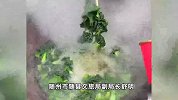 “欢迎大家来做客！”带着锅到高速口煮面条，当事文旅局副局长回应