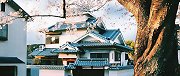 投资日本民宿没精力打理？包租模式助你捞到第一桶金！