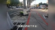 网曝吉林树坑安装白钢护栏遭网友质疑，园林部门：对树的一种保护