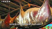 臭猪肉挂梁上近30年,外地人闻着它就饱了,当地人视宝贝供着