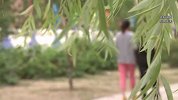 女子遭老板性侵反被开除，公司被裁决支付113万元
