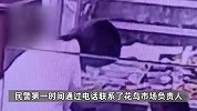 上海一宝妈百万珠宝被女儿60元贱卖，只为去打唇钉，妈妈急报警