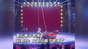 马戏表演秒变喜剧，观众被邀上台骑马互动，驯兽师一句话引爆全场